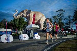 BIB: 
                            <button type="button" onclick="openModal(26541543)" class="btn btn-primary btn-sm float-right btn-popup" data-toggle="modal" data-target=".modal-high-quality">
                        <i class="fas fa-shopping-cart"></i> Add to Cart
                    </button>
                                            <button type="button" onclick="isThisMe(26541543, true)" class="btn btn-success btn-sm float-right btn-popup btn-isme hidden" data-toggle="tooltip" data-placement="bottom" title="นี่คือรูปของคุณใช่ไหม คลิกที่นี่เพื่อเอาเข้าอัลบั้ม">
                        <i class="fas fa-plus"></i> Add to album
                    </button>
                    <button type="button" onclick="isThisMe(26541543, false)" class="btn btn-warning btn-sm float-right btn-popup btn-isnotme hidden">
                        <i class="fas fa-ban"></i> Remove from album
                    </button>